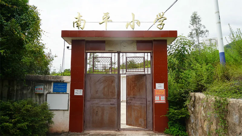 ����ɭ����