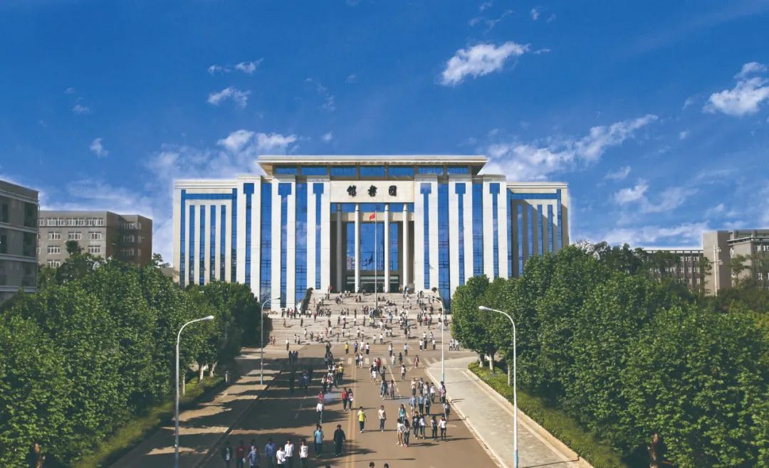 ����ɭ����