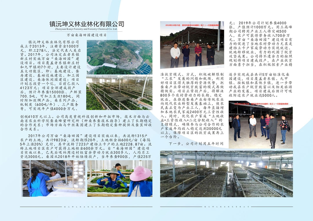 ����ɭ����ƽ���OӋ��������x�֘I�ֻ����޹�˾DM��