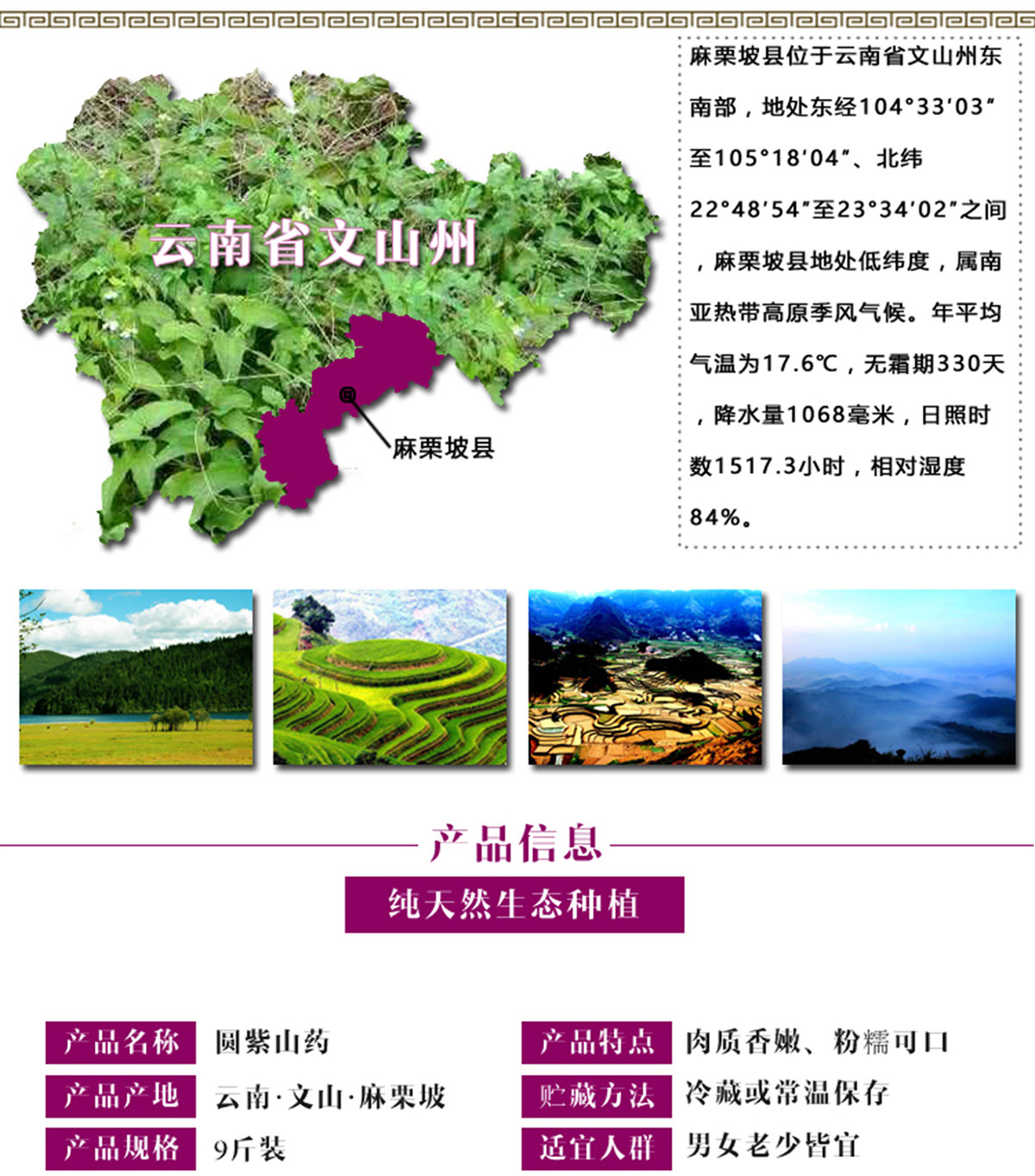 ����ɭ����ƽ����Ʒ-���ƺù����Ԍ�����b���c�aƷԔ�������