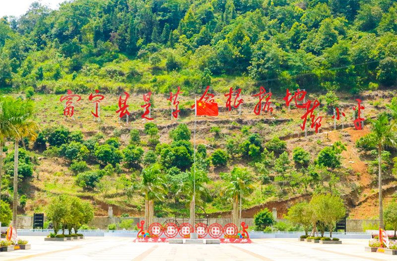 ����ɭ�������M�������_չ���ľ�ٛ���