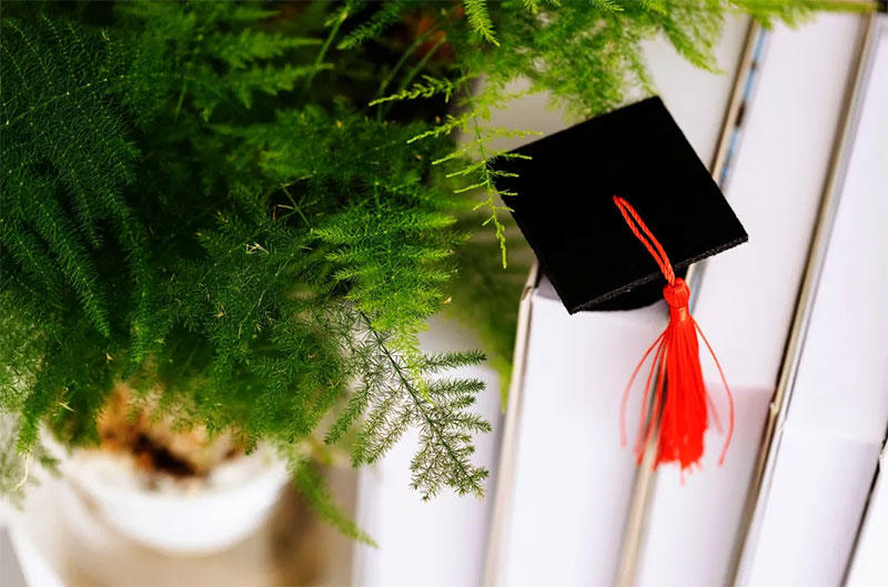 2025��ȫ���Tʿ�о���������ԇ�A����10��9����ʽ�_ʼ